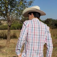 sonido original