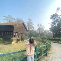 yogii_84
