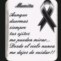 silvia.brigida