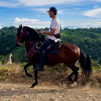 juantrujillo0922