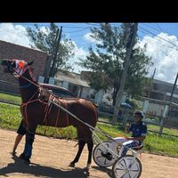 studvargas3