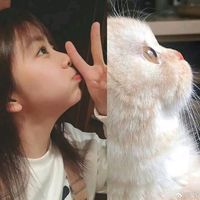 meodem04