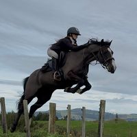 rubi_andthe2iconicponies