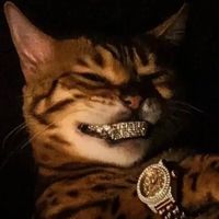 crsbnk