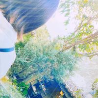 オリジナル楽曲 - haru