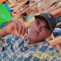balem513