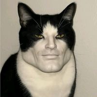 suara asli - Shirahoshi -kun