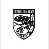 original sound - chameleon_team