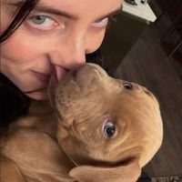 allforbilliebylaura