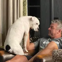 original sound - john_gaius736