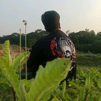 friend.fire