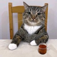 nhạc nền - Ảo Công Tử