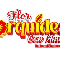flororquideaconamor