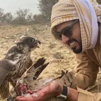 original sound - ahmbinr