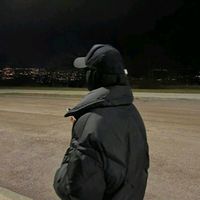 a_v_i_s_a1