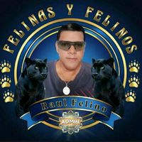 raul_felino