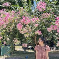 เสียงต้นฉบับ - ลูกตาลที่แปลว่าโสด