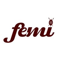 femi.kente