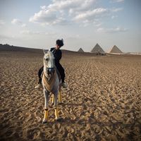 _mido.kheil1
