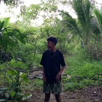original sound - John ray Molina
