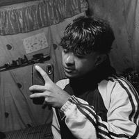 junino_xz