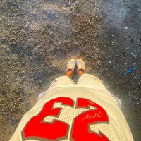 babz_528