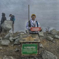 dayuklewer