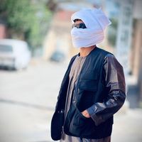 a_n_i_s_31