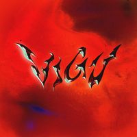 vigu_jp
