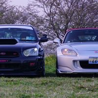 sti_voltex