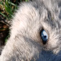 original sound - maria.soledad484