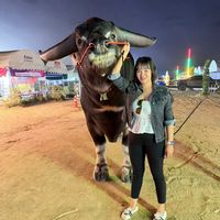 ma_meaw2239