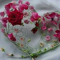 original sound - fshfsh0405