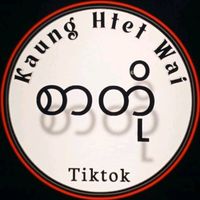 satnaingsoe413113