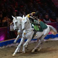 galkynysh.horses