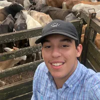 original sound - joao_062j