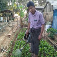 userzaw28