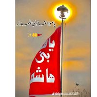aliabbas512147252