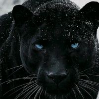 elirza_892