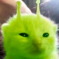 suara asli - Zeazyshop