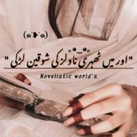 novels_ki_dewani71