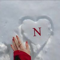nanib866