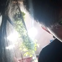 .mini._2