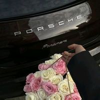 nhạc nền - MUSIC👀