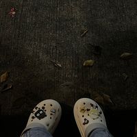 fon_aris59