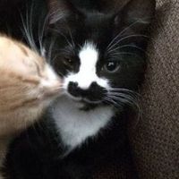 edgar.santiago.es5