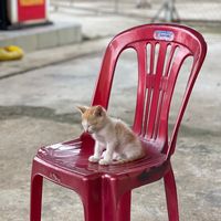 nguyentuongvy335555