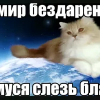 original sound - egg1vq