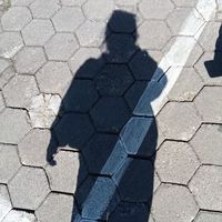 _b_u_n_n_y_
