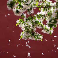 nhạc nền - J ⛈🍊